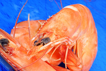 Image showing Boiled shrimps close-up