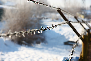 Image showing Metal barbed wire 