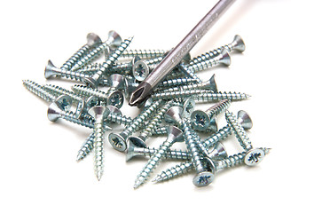 Image showing Screwdriver and small metal screws on a white background