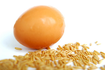 Image showing Egg and wheat grain