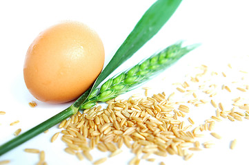 Image showing Egg and wheat