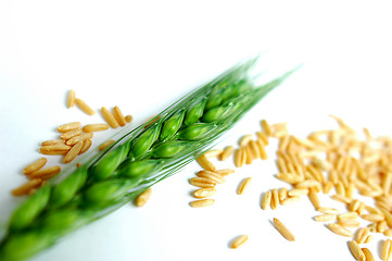 Image showing Green wheat ears