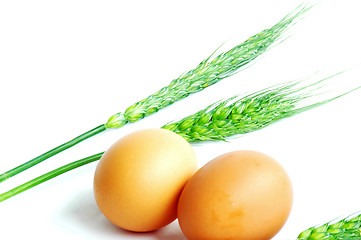 Image showing Egg and wheat