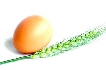 Image showing Egg and wheat