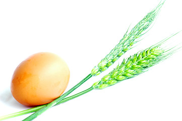 Image showing Egg and wheat