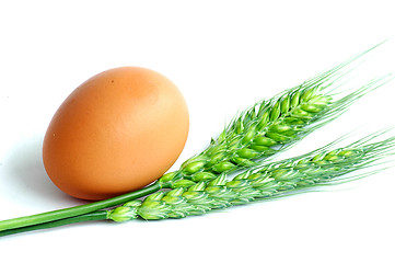 Image showing Egg and wheat