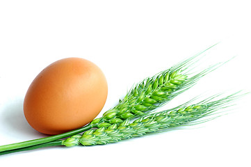 Image showing Egg and wheat