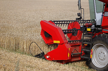 Image showing Harvesting