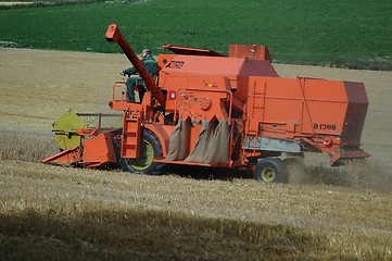 Image showing Harvesting