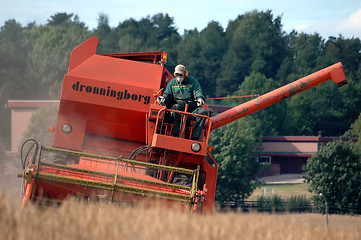 Image showing Harvesting