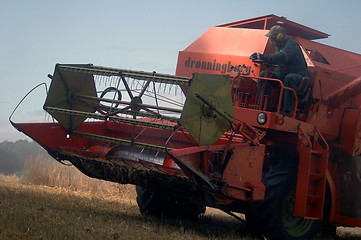 Image showing Harvesting