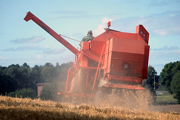 Image showing Harvesting