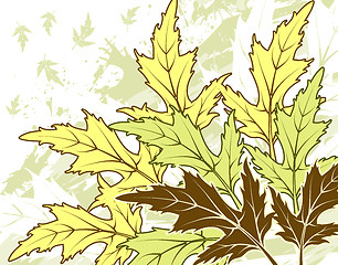 Image showing Grunge leaf background