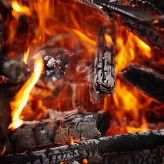 Image showing Wood burning in the fire background