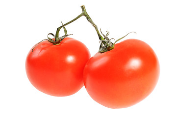 Image showing Two tomato