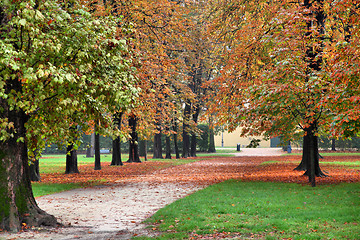 Image showing Autumn