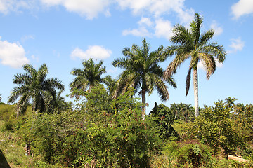 Image showing Cuba