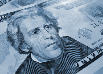 Image showing twenty american dollars