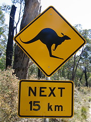 Image showing Kangaroo road sign