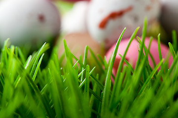 Image showing Grass background with Easter eggs