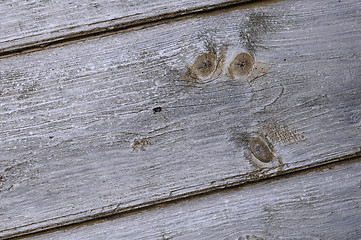 Image showing Rough Wood Texture