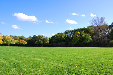 Image showing forest and garden under blue sky at fall