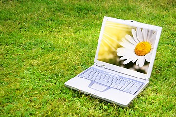 Image showing flowers and laptop