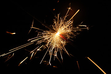 Image showing holiday sparkler