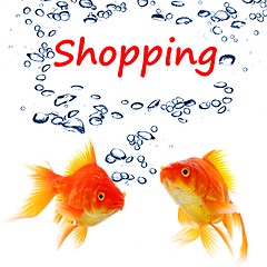 Image showing shopping