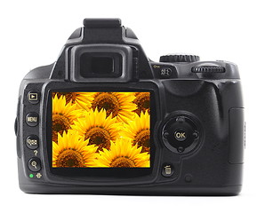 Image showing dslr with summer flower