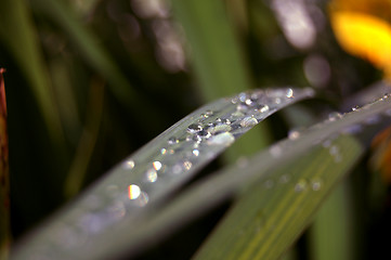 Image showing Waterslide