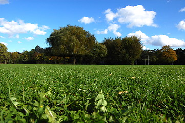 Image showing forest and garden under blue sky at fall