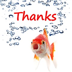 Image showing thanks