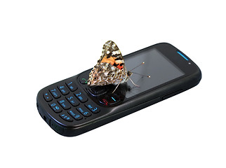 Image showing butterfly on mobile