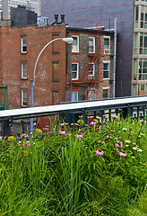 Image showing High line park in New York