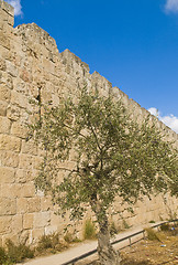 Image showing Jerusalem wall