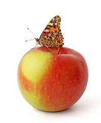 Image showing butterfly on apple