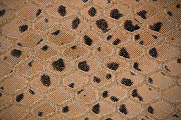 Image showing Synthetic leather texture