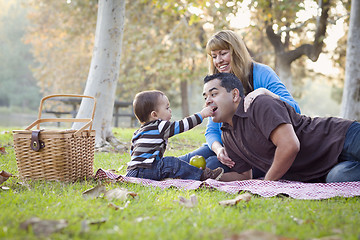 Image showing Happy Mixed Race Ethnic Family Having Picnic In The Park