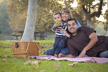 Image showing Happy Mixed Race Ethnic Family Having a Picnic In The Park