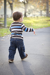 Image showing Young Baby Boy Walking in the Park