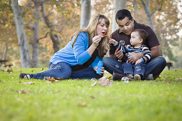 Image showing Happy Mixed Race Ethnic Family Playing with Bubbles In The Park