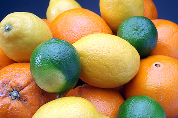Image showing Citruses: lime, lemon and orange