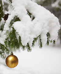 Image showing Spruce twigs decorated with a  ball