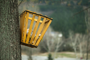 Image showing Trash hung on a tree