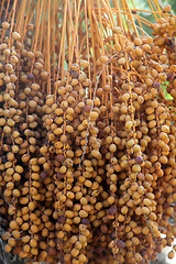 Image showing Phoenix dactylifera palm tree