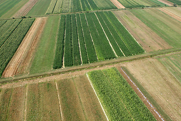 Image showing Meadows and fields