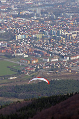 Image showing Paragliding above Maribor city, Slovenia