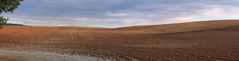Image showing Panorama of orange plowed field in cloudy day before rain