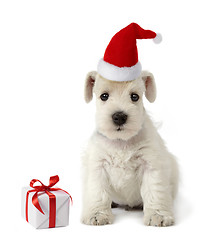 Image showing puppy and christmas gift